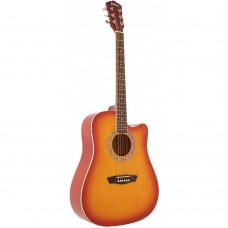 Washburn WA90 Akustik Gitar (4 Renk)