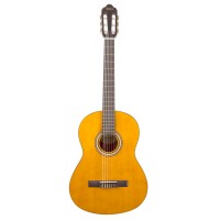 Valencia VC204H Klasik Gitar 