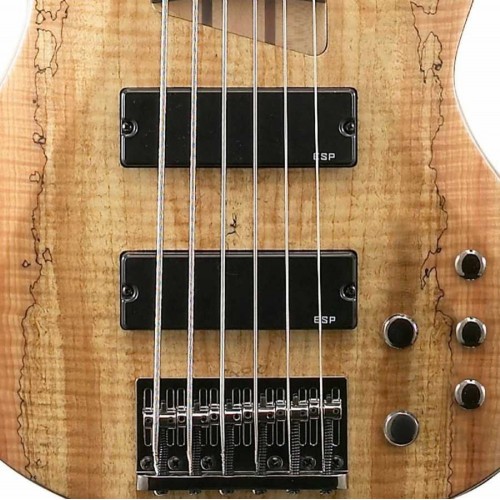 ESP LTD B-206 Spalted Maple Natural Bas Gitar